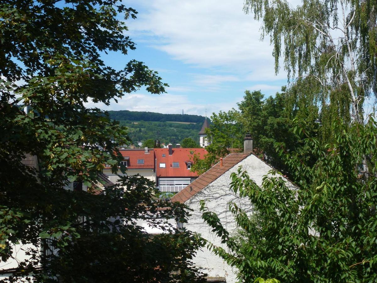 Villa Am Rosenfelspark Лёррах Экстерьер фото
